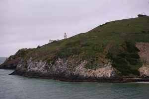 HARINGTON-POINT-DUNEDIN (51)